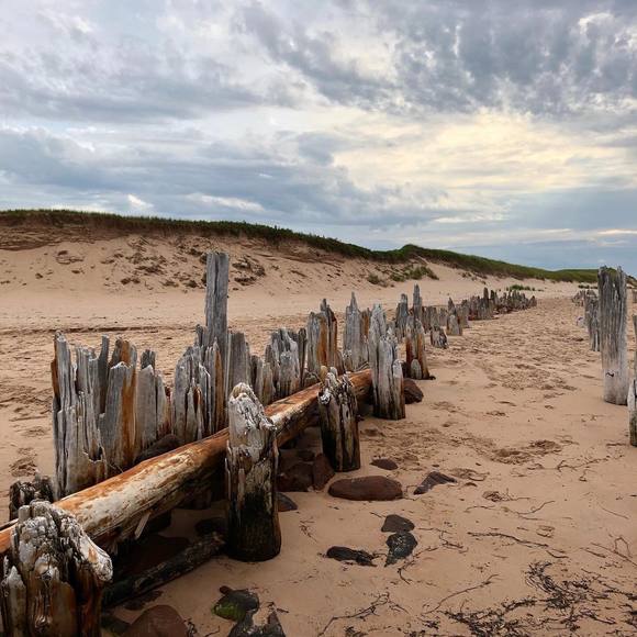 Meet your Posher, Kimberley - Picture 1 of 1